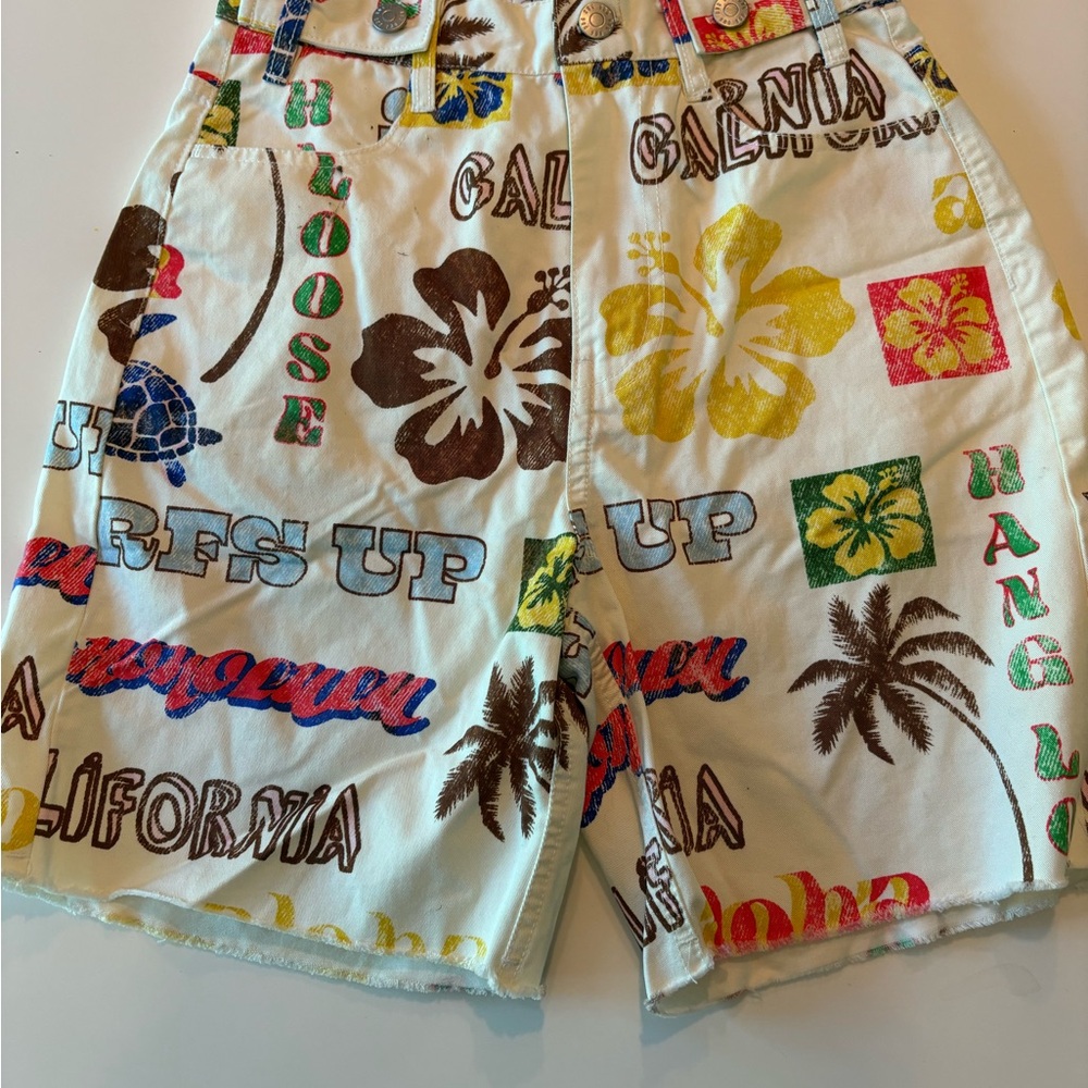 BDG Urban Outfitters Graphic Women’s Shorts